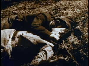 Childhood friends but belonging to opposing Union and Confederate armies, the youngest sons of the Cameron and Stoneman families meet on the battlefield and die in each other's arms.